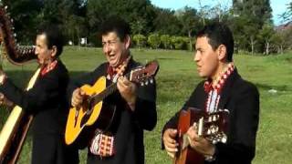 LOS HNOS VAZQUEZ PAREDES  SERENATA SIN PERMISO [upl. by Cornew]