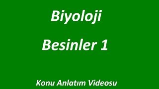 BESİNLER 1  KONU ANLATIMI  BİYOLOJİ  İZLE  ÖĞREN Soru Çözümü Konu Anlatımı [upl. by Einneb]