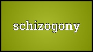 Schizogony Meaning [upl. by Orsini]