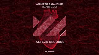 Animato vs Gaudium  Heart Beat [upl. by Silber]