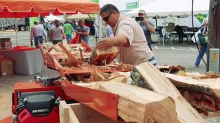 Log Splitters in Action  WoodMizer [upl. by Erlin59]