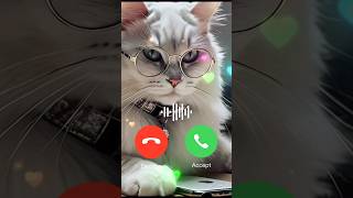 John cat calling me 🔥🔥 iPhone ringtone shorts call ringtone [upl. by Synned]