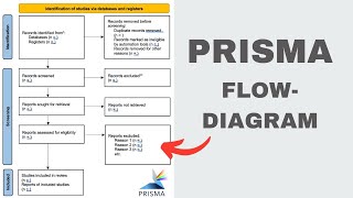 How to create a PRISMA FlowDiagram for systematic reviews 2024 [upl. by Nekial]