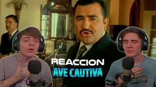 ARGENTINOS REACCIONAN A Conjunto Primavera  Ave Cautiva Video Oficial [upl. by Skippy]