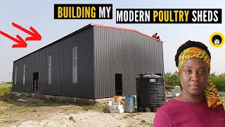 Building Our Modern Poultry Sheds  Expanding Our Poultry Farm [upl. by Raual]