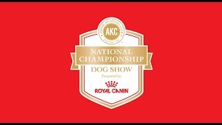 2018 AKC National Championship presented by Royal Canin [upl. by Benis]