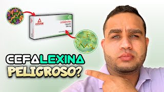 CEFALEXINA 500 mg PARA QUE SIRVE EN EL EMBARAZO  EN PERROS  DOSIS [upl. by Verney271]