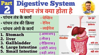 Digestive System In Hindi  पाचन तंत्र  Stomach  Liver  Small Intestine  Large Intestine  HCL [upl. by Bland465]