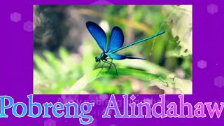 POBRENG ALINDAHAW Visayan Folk Song with Lyrics amp English Subtitle Covered by Lakay Islao fr Lupao [upl. by Accalia]