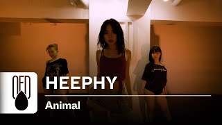 Trey Songz  Animal  HEEPHY Choreography [upl. by Olia]