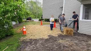 20160512  Planting grass seed with straw [upl. by Malcah]