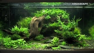 Aquascaping  The Art of the Planted Aquarium 2013 XL pt2 [upl. by Piderit196]