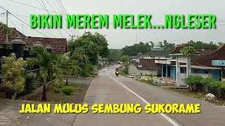 Mimpi Jadi Nyata Bojonegoro Sukorame Jombang Jalanya Mulus bikin ngantuk [upl. by Igor333]