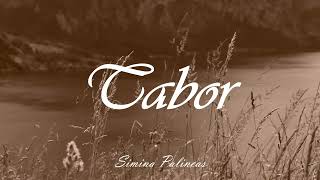 Simina Palincas • Tabor  Official video 2024 [upl. by Habas394]