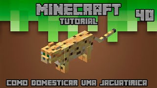 Tutorial Minecraft  COMO DOMESTICAR A JAGUATIRICA NO MINECRAFT 40 [upl. by Juan95]