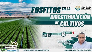 Fosfitos en la Bioestimulación de Cultivos [upl. by Salomon]