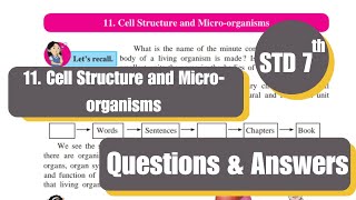 11 CELL STRUCTURE AND MICROORGANISMS ANSWERS EXERCISE  CLASS 7 SCIENCECHAPTER 11  SSC [upl. by Sobel]