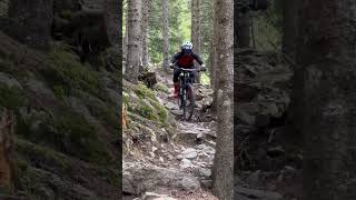 RAW reschenpass trails mtb enduro mountains [upl. by Vania603]