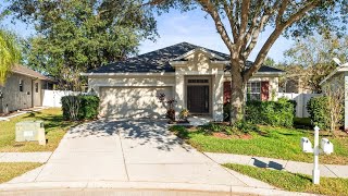 474 Rockrose Ct Spring Hill FL [upl. by Anez]