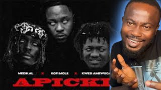 Medikal ft Mole and Kwesi Amewuga  Apicki reached [upl. by Carr]