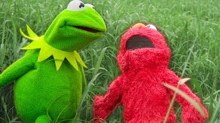 Kermit the Frog and Elmos Backyard Challenge [upl. by Ilamad]