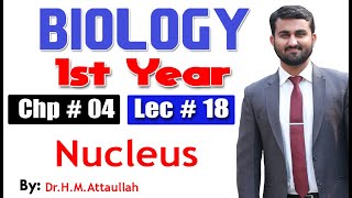 Nucleus  Chapter 4  1st year Biology  Lec  18 [upl. by Ailaroc]