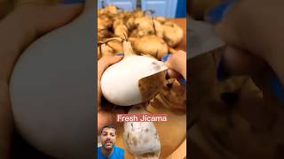 Jicama Harvest agriculture satisfying farming [upl. by Islaen]