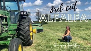 Laying down 3rd Cut Alfalfa with John Deere MOCO 946 amp 4440 WieczorekFarms [upl. by Cirenoj]