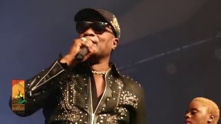 Koffi Olomide performs Effrakata Live at The Koroga Festival [upl. by Kalie]