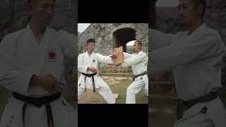 shorts Uechiryu Karate  Sanchin breaking strikes [upl. by Boothe369]