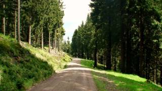 Wandern Thüringer Wald Rennsteig bei Oberhof [upl. by Ennayelsel]