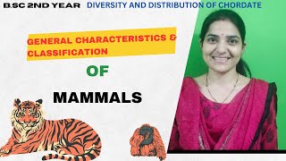 General Characteristics And Classifications of class Mammalia BSc 2nd Yearmammalia [upl. by Lyndon]