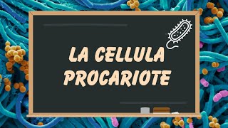 La struttura della CELLULA PROCARIOTE scopri come è fatta [upl. by Lear]