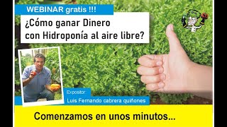 ¿Cómo ganar dinero con hidroponía al aire libre Proyecto de negocio para iniciar en 2022 [upl. by Eelrahc619]