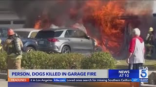 La Habra house fire leaves homeowner 2 dogs dead [upl. by Adias124]