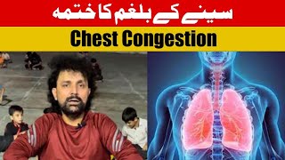 Cure for Chest Congestion and Expectoration  Mucus Accumulation in Lungs  Health [upl. by Umeh]