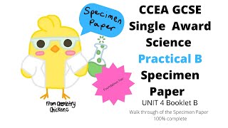 CCEA GCSE Single Award Science Unit 4 Booklet B Specimen Paper FOUNDATION TIER [upl. by Assillim]