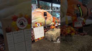 Heaviest pumpkin record broken at 2024 Durham Fair CT worldrecord pumpkin [upl. by Aicatsana844]