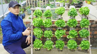 Transform Plastic Bottles into a Thriving Lettuce Vertical Garden [upl. by Ecnerat]