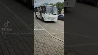 Автобус 21 маршрут ПАЗ32041404 Вектор 12 гос У210РР124 гКрасноярск автобус красноярск паз [upl. by Quartana]