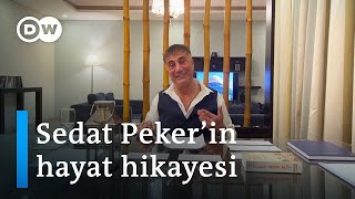 Sedat Peker kimdir Geçmiş ilişkileri ve son dönemi  DW Türkçe [upl. by Rep594]