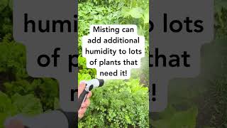 🍂 Misting helps your plants get the moisture they need Have any questions Gardening Flora Fall [upl. by Garling]