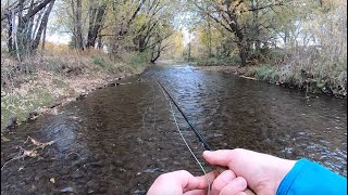 Fly Fishing an urban stream for trout and bass [upl. by Dinesh]