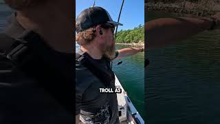 Catching Striper on an Eel Tube fishing angler fishinglife fisherman [upl. by Mcconnell]