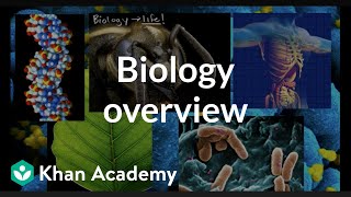 Biology overview [upl. by Auj]