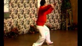 Tai Chi 24 form best tutorial [upl. by Eirrehc]