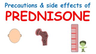 Prednisone  important precautions and side effects [upl. by Ogg]