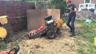 DR STUMP LTD  how to remove a tree stump with stump grinder  DR STUMP LTD [upl. by Kemme]