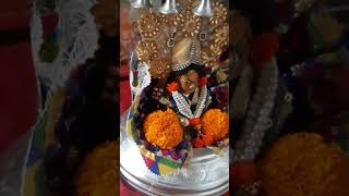 Ladoo gopal khelunga youtubeshorts trending radhakrishna [upl. by Downs]