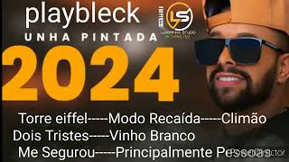 playbleck unha pintada 2024 [upl. by Manny654]